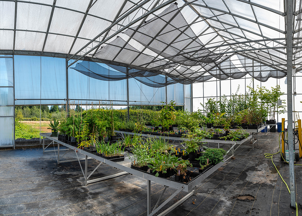 UBC Botanical Garden nursery