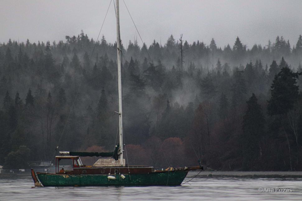 Grey boat