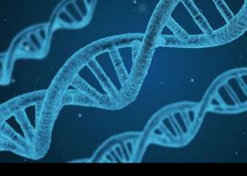 Image of DNA