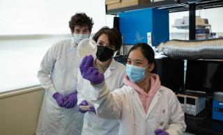 UBC researchers