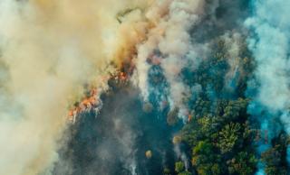 Climate emergency