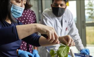 UBCO researchers