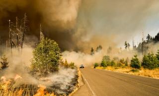 Wildfire