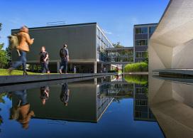 Undergraduate students on campus