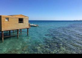 Red Sea