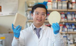 Biodegradable foam