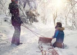 Second-hand sled