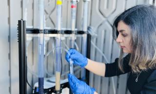 UBC researcher
