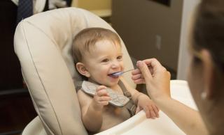 Baby’s first bites