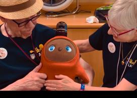 Social robots