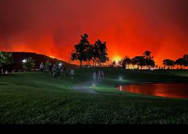 wildfire management 