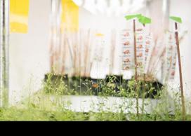 Green Labs Fund 