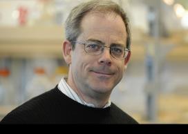 Dr. David Kitts